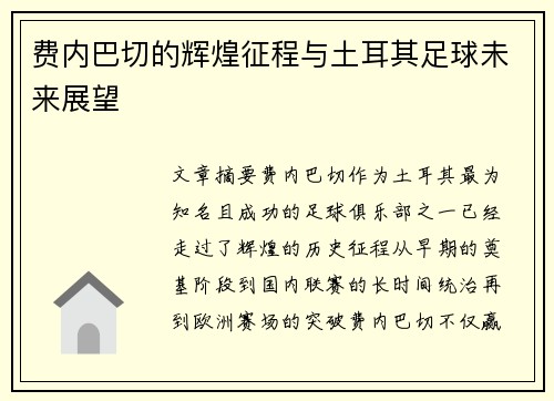 费内巴切的辉煌征程与土耳其足球未来展望